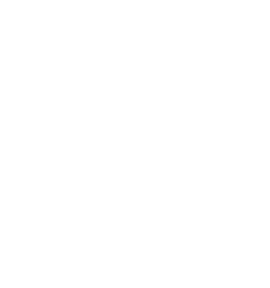 Tanzania Nomads logo