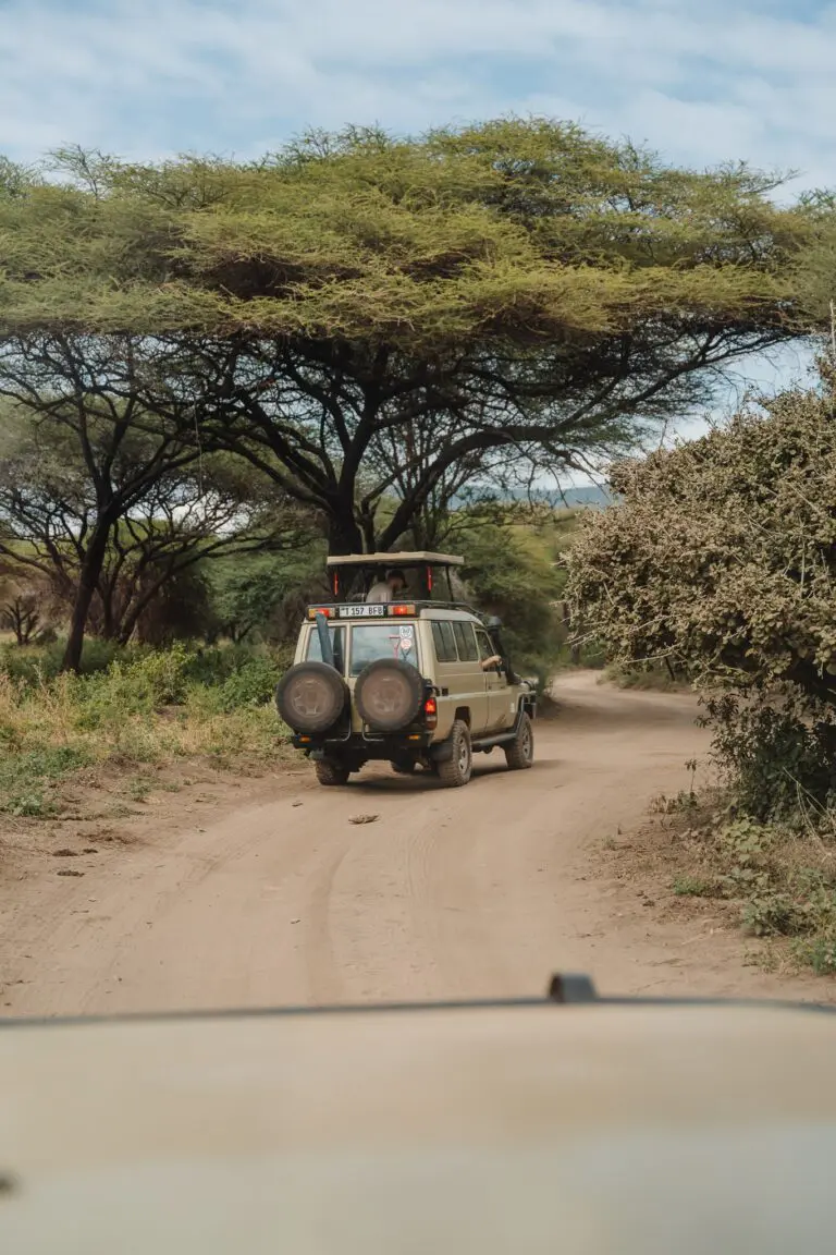 safari vehicle driving on dirt road in tanzanian savanna