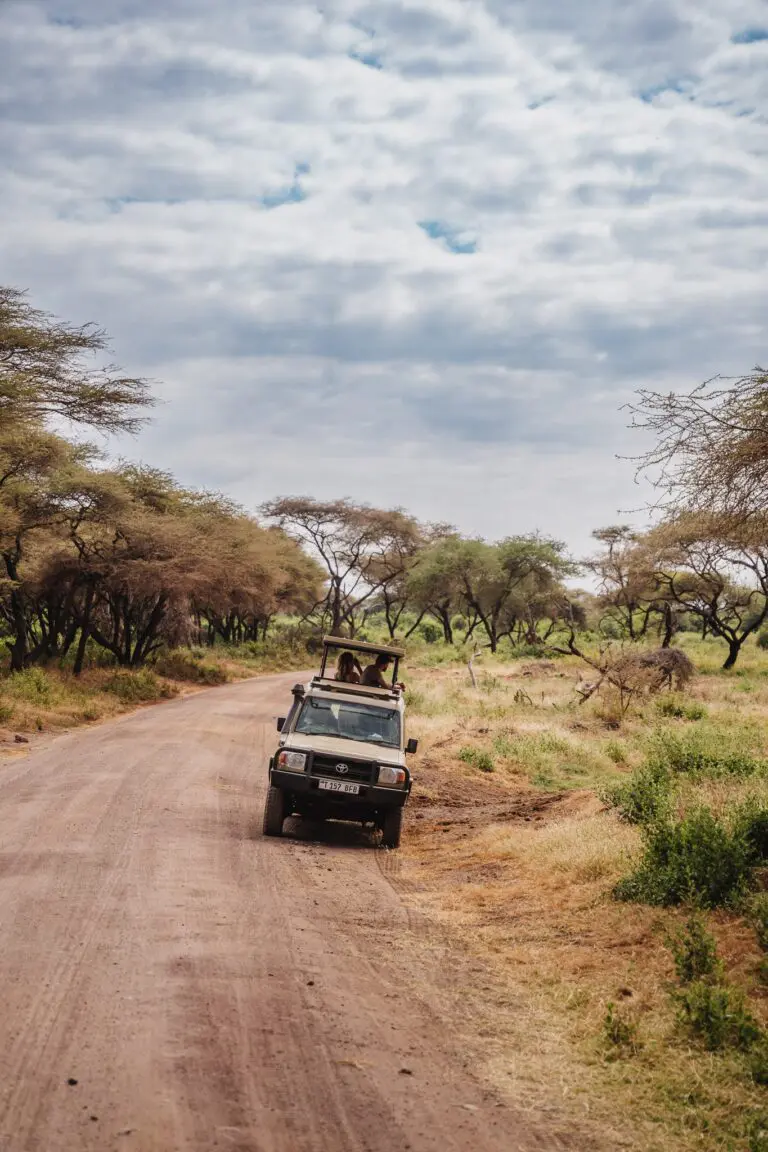safari jeep roulant sur une piste poussiéreuse dans la savane tanzanienne