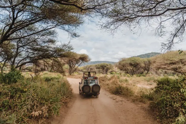Un safari en jeep sur une piste à travers la savane africaine