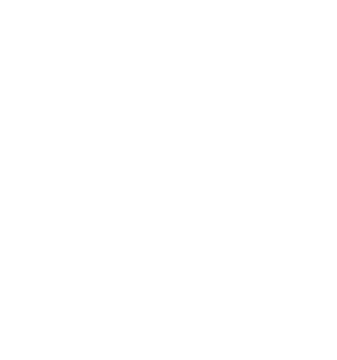 Tanzania Nomads logo